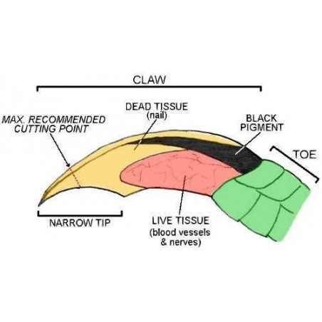 Tesoura corte unha - Reptile