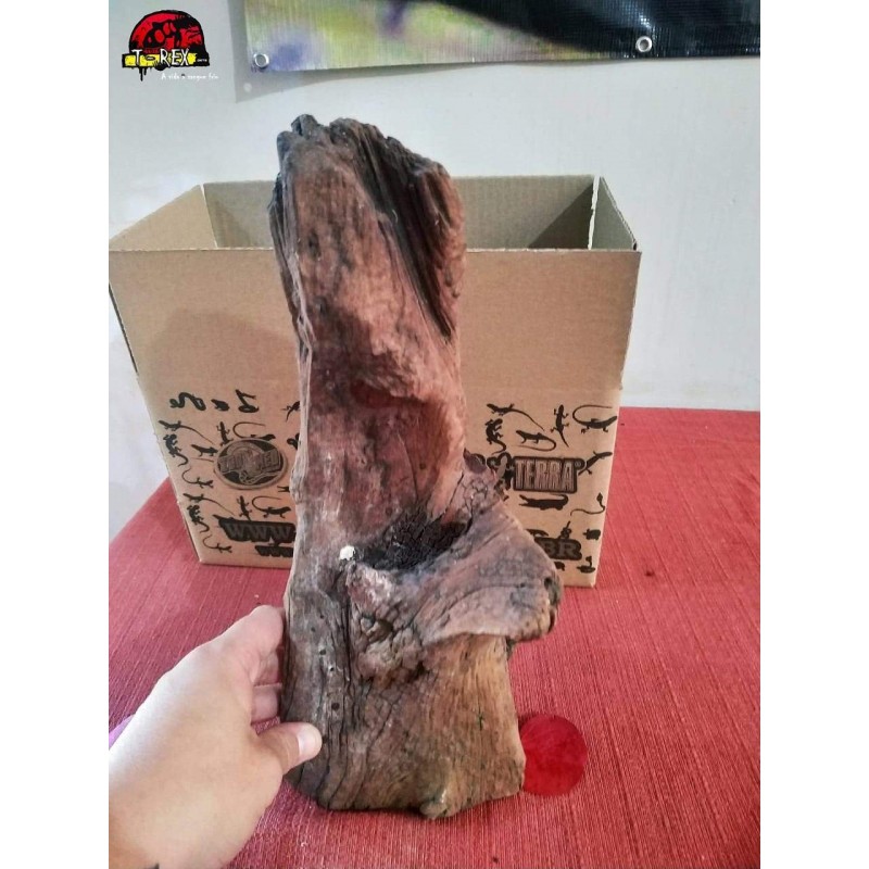Tronco Natural Aroeira 04