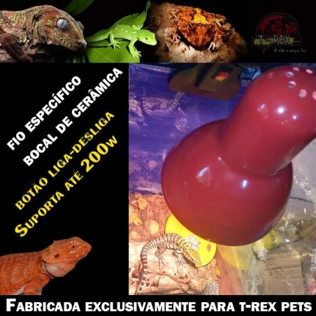 lampada terrario pogona
