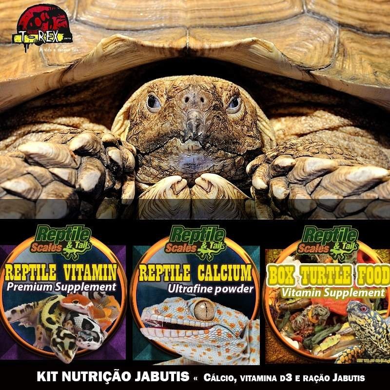 ração para jabutis cálcio e vitamina