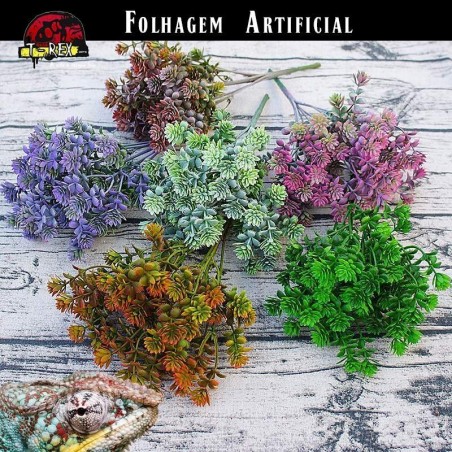 Folhagem para Terrário Iguana