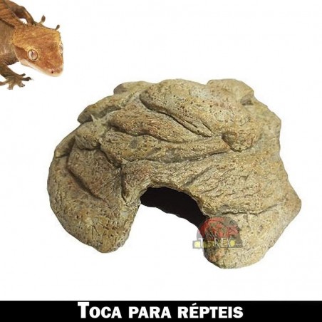 toca para répteis gecko